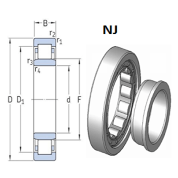 Product NJ2305-E-XL-TVP2 RODAMIENTO FAG d=25mm D=62mm B=24mm RODAMIENTO-DE-RODILLOS-CILINDRICOS-NJ.png